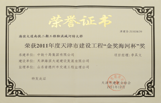 2011年天津海滨大道独流减河特大桥“金奖海河杯奖”